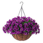 Ammyoo vue frontale du panier suspendu montrant fleurs vibrantes et gain d'esthétique