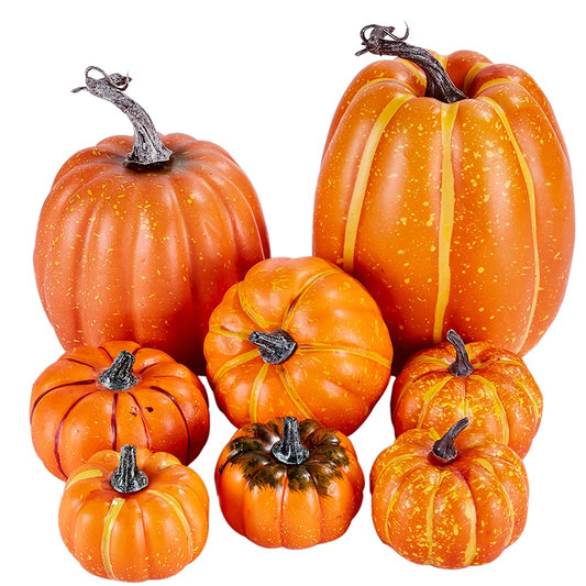 Artmag pack avant montrant les 8 citrouilles parfaites pour décor automnal