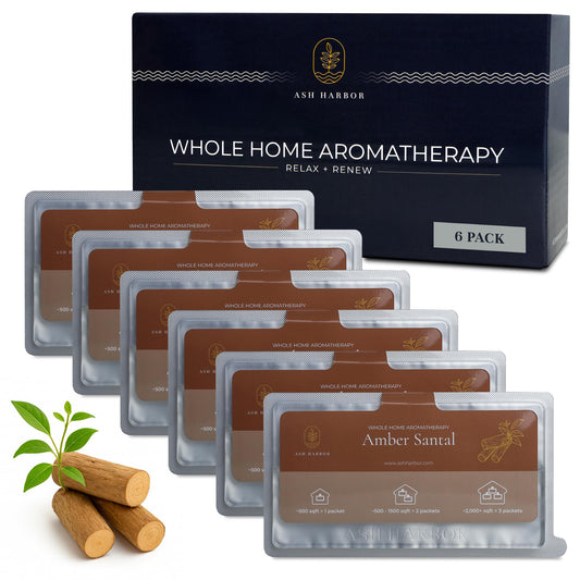 Ash Harbor emballage avant montrant pack de 6 et parfum Amber Santal