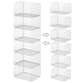 Astrorhine vue frontale dans placard montrant organisation rapide