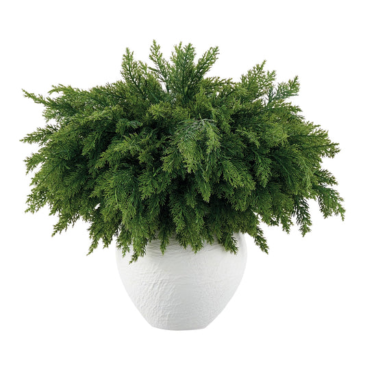 Aurdox branche Norfolk Pine vue avant, densité et réalisme pro