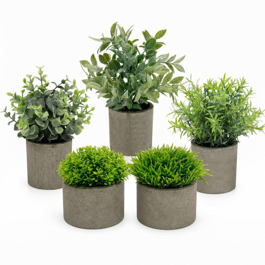 AUUGUU plante en pot face montrant design minimaliste et effet décoratif