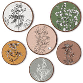 Barydat face avant du pack de 6 disques montrant style boho et harmonie