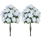 BLOSMON arbre hortensia blanc devant porche, ajoute élégance sans entretien