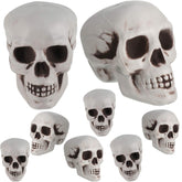 Boao crâne face avant détaillée apportant ambiance Halloween réaliste