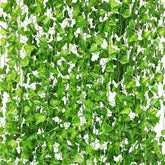 CQURE vue avant de l'emballage montrant 48 vignes pour couverture rapide