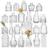 CUCUMI ensemble devanture montrant 24 vases pour créations décoratives