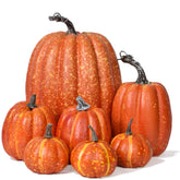 DearHouse ensemble de citrouilles avant vue réaliste et accueil chaleureux