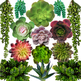 DECOROUS ensemble de 14 succulentes vues de face pour décoration polyvalente
