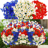 Dingion face de l'ensemble de 12 fleurs, visuel de couleur vive et festif