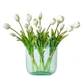 DUYONE emballage du lot de 15 tulipes montrant le paquet complet et l'échelle visuelle
