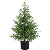 ENVEN arbre cèdre face avec pot montrant style stable et sans entretien