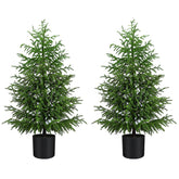 ENVEN arbre Norfolk Pine devant emballage, installation rapide et gain de place