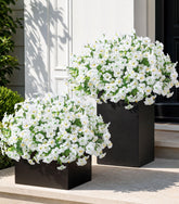 florisso emballage avant 20 bouquets pour installation extérieure bénéfice durable