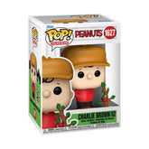 Funko Pop Charlie Brown face avant montrant expression nostalgique et charme