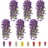 Generic ipomée face avant emballage montrant couleur durable