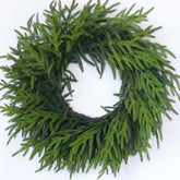 GLIDLION couronne Norfolk face sur porte montre entrée accueillante