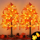 Grastfu arbre erable face et emballage, décor prêt à poser