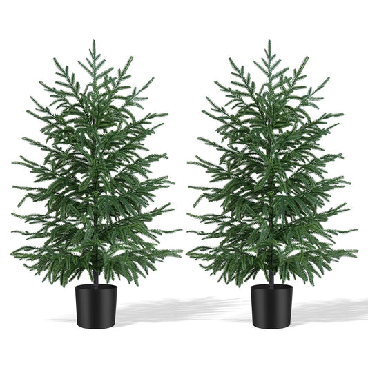 Grooy sapin Norfolk en pot vue de face apportant un centre décoratif