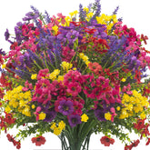 Grunyia vue frontale des 20 bouquets, couleur vive et durable