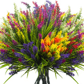 Grunyia touffes devant montrant ensemble coloré et impact immédiat