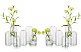 Hewory lot de 12 vases avant plan montrant silhouette élégante et polyvalence