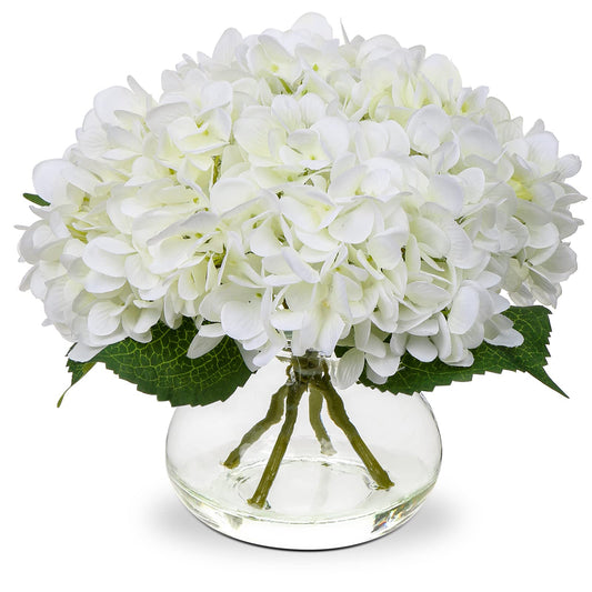 Hollyone hortensia face avant montrant élégance et présence décorative