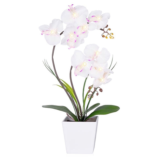 HOMESEASONS vue avant de la lampe orchidée, apporte élégance sans entretien