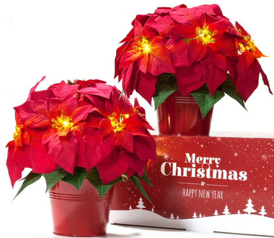 HOMESEASONS poinsettia en pot vue de face apporte ambiance festive