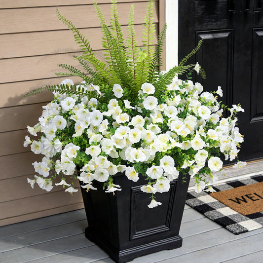 Hrobek vue d'ensemble du lot extérieur montrant 12 bouquets et une fougère, durable