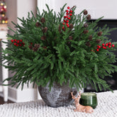 HyeFlora pack de branches sapin Norfolk prêt à décorer et durable