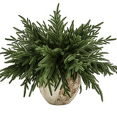 joyhalo vue avant de l’emballage des tiges Norfolk Pine montrant contenu pratique