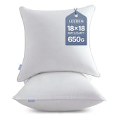 Leeden garnissage coussin de face montrant gonflant et style