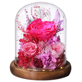 lovenfold cloche ensemble avant montrant la composition et élégance