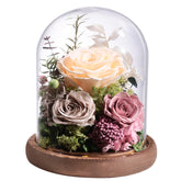 lovenfold rose sous cloche vue avant montrant élégance et longévité