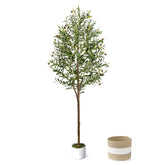 LuceAlberi olivier 6FT avec pot et panier, finition prête à poser bénéfice esthétique