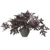 Lyrow branche face prune profond montrant l'effet automnal et élégance