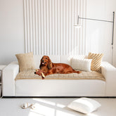 Mitid housse face avant montrant protection et style