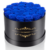 NATROSES boîte velours noire montrant 27 roses bleu royal, cadeau élégant durable