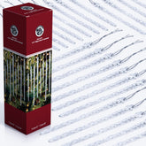 NorthPoleXpress boîte ouverte montrant 24 glaçons en verre, finition cristal éclatante