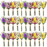Nuanchu lot de 30 mini bouquets séchés présentés en ensemble pour décoration