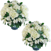 QIANYUN hortensia ensemble face offrant élégance immédiate