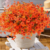Rowfad emballage de 36 chrysanthèmes orange, économie et variété