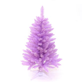 Senjie arbre violet face entière montrant silhouette compacte et décorative