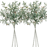 SHACOS branches d'olivier pack de 6 vue frontale pour décoration durable