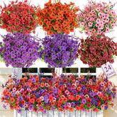 SHareconn face packaging montrant tous les 24 bouquets prêts à poser