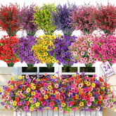 SHareconn emballage avant montrant 24 bouquets et protection pratique