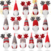 Skylety devant packaging gnomes montre lot complet et présentation festive