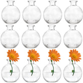 SOUJOY vue face lot de 12 vases mettant en valeur la répétition décorative