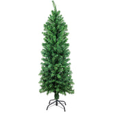 Sunnyglade vue frontale du sapin vert montrant silhouette slim et gains d'espace